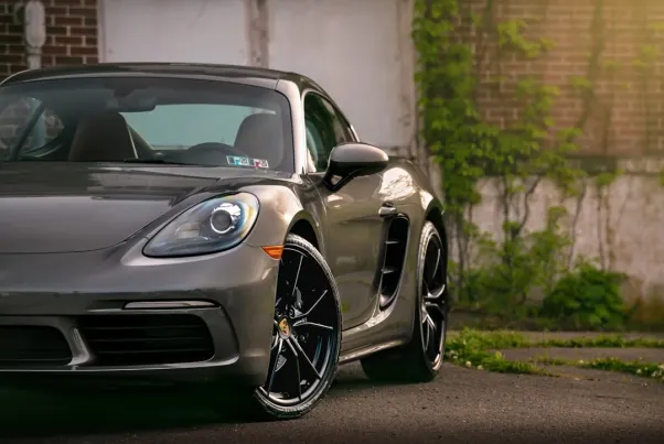 Kasino Spin Pug Android/iOS aplikace